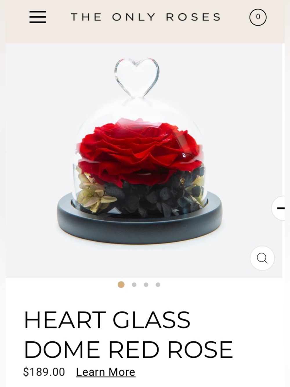 The Only Roses Black The Art Of Everlasting-Dome Rose